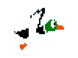 duck